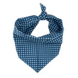 Blue Gingham Pet Bandana