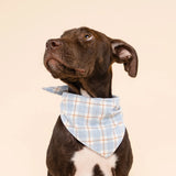 Plaid Pet Bandana